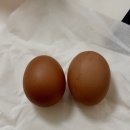이마트에브리데이 대구옥포점 | 2026년 6월 셋째주 기록 (직장인 일상,아직은 걸을만한 날씨,남편 생일 전야제,상인참치,뚱채김밥,기프...