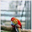 경주버드파크 이미지