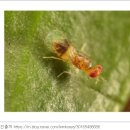 개나리아파트(15670) (옥외1) | 24년도 1회차 조경기사 실기 필답형 기출문제