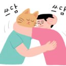 올리브영충주 이미지