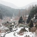 고요산책 이미지