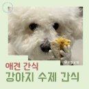 다이아몬드 유통 강아지 사랑 | 강아지수제간식 여시까까 고구마 닭고기 조합 후기