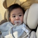 육아일기) 👶🏻D+333~334 (행복했던 호캉스 1박2일..인데 이제 종달기상을 곁들인...)