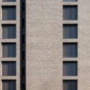 호텔나무 이미지