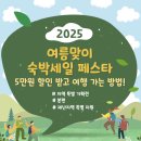 여름 휴가, 반값에 떠나자! 숙박세일페스타 쿠폰으로 누리는 여름맞이숙박세일페스타 혜택 총정리