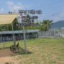 게르메스 네이버블로그