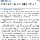 아모텍 : 핵심은 파워트레인용 MLCC 매출이 커진다는 것 이미지