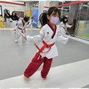 라온제나태권도장 이미지