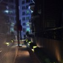 케이조경 이미지
