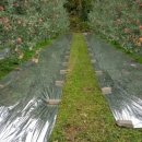 복수농장 이미지