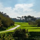 금강센테리움 이미지