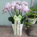 한성대학교 행정대학원 이미지