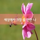 수보리 이미지
