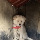 이가형제농장 이미지