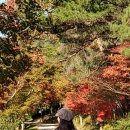 이소부국장님 안녕하셔요 이미지