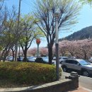 세풍식당 이미지