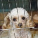 구포3동-11 이미지