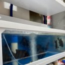 OK카프라자 이미지