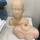 나비야(NABIYA) | [꾸며윰] 나비야 미용마네킹, 어깨마네킹 에스테틱 혈자리 연습용 사용 후기