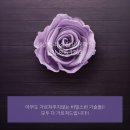 용인미용학원 죽전미용학원 추천 첫배움이 중요해요