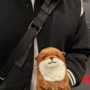 뽑기오빠 오케이 이미지