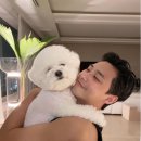 심바스튜디오 이미지