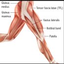 뮤토필라테스 이미지