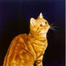 헤어클래식 이미지