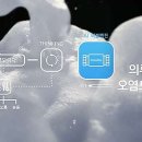 원바디핏