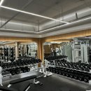 포스 피트니스 이미지