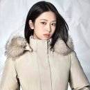 아르테 프리미엄