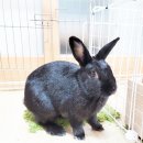 장우진동물병원 이미지