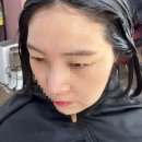돼지꼬리미용실 이미지