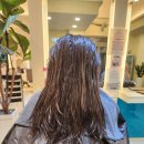 프리마헤어 이미지