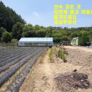 새실농장 이미지