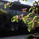 성서침례대학원대학교 이미지