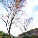 개금불 어뮤니티 | 합천 개금불 어뮤니티... with 홀릭L