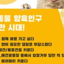 도그픽 이미지
