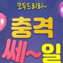 웨딩숲 이미지