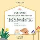 지안 더 센트로 이미지