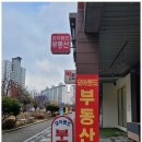 권선시장공인중개사사무소 이미지