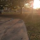 미단시티8호 근린공원 이미지