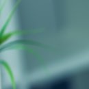 메디포인트 이미지