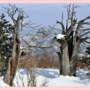 태백산가마솥설렁탕