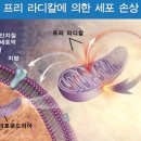 라온식품 네이버블로그