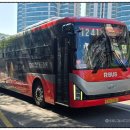 구성농협 삼거리 이미지