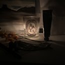 리히트 이미지