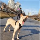 아이조아요양호텔 이미지