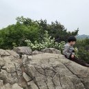 6살 아들과 인천 백패킹 박지 추천 부탁드립니다 🙏 이미지
