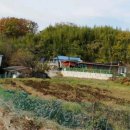 세명공인중개사사무소 이미지